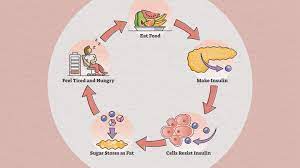 Problem hormon insulin