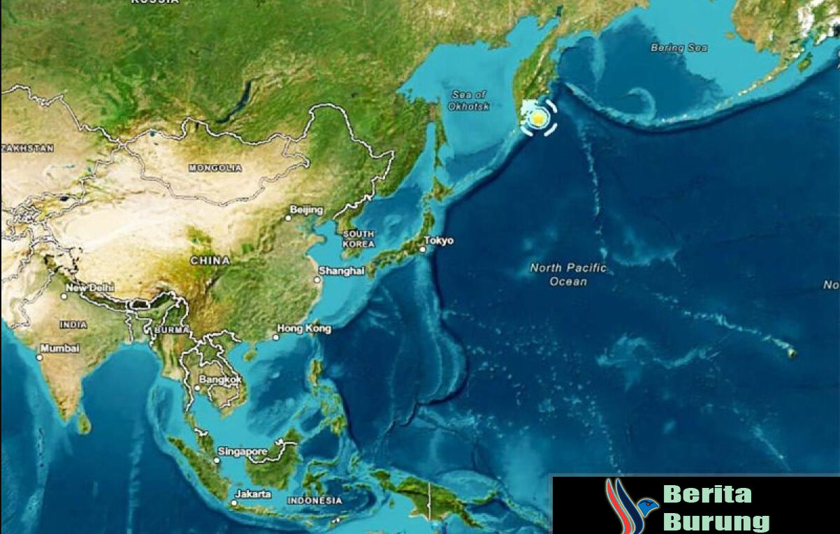 Tsunami